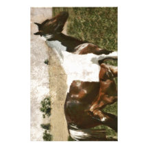 Paint Mare and Foal Stationery Design