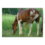 Paint Mare Greeting Card