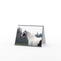 Paint Mare Notecards