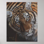 Paint Me, Protect Us Tiger poster posters