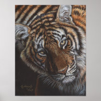Paint Me, Protect Us Tiger poster