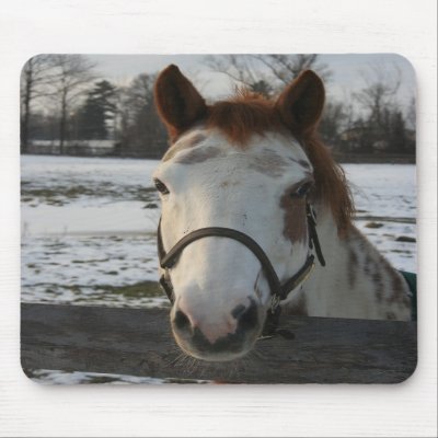 Paint Mousepad by EquineGal