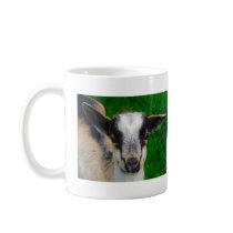 Paint Mug