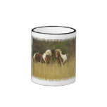 Paint Ponies in Field Coffee Mug