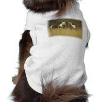 Paint Ponies in Field Dog Shirt