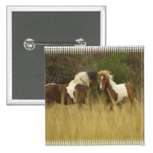 Paint Ponies in Field Square Button