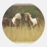 Paint Ponies in Field Sticker