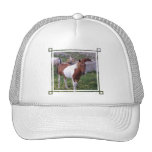 Paint Pony Baseball Hat