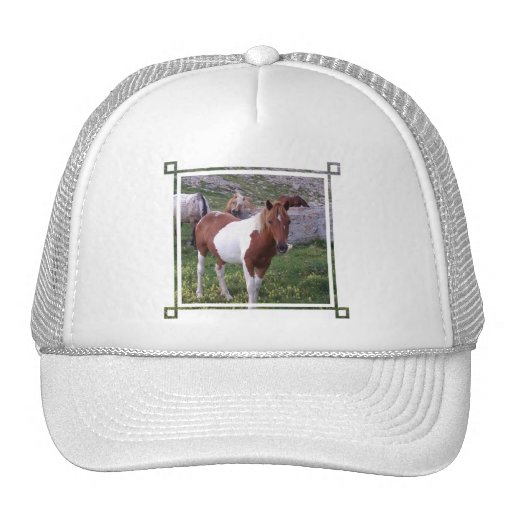 Paint Pony Baseball Hat