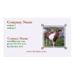 Paint Pony Business Card