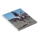 Paint Pony Horse Show Notepad