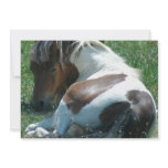 Paint Pony Invitation