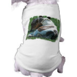 Paint Pony Resting Dog Shirt