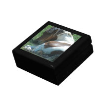 Paint Pony Resting Gift Box