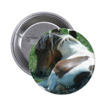 Paint Pony Resting Round Button