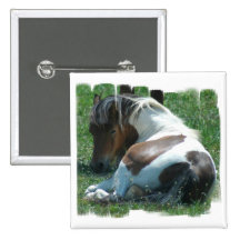 Paint Pony Resting Square Button