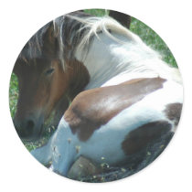 Paint Pony Resting Sticker