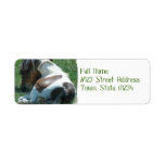 Paint Pony Return Address Label
