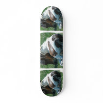 Paint Pony Skateboard