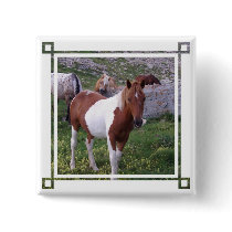Paint Pony Square Pin