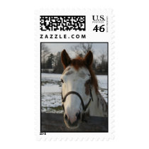 Paint Postage postage by EquineGal Paint Postage postage
