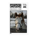 Paint Postage