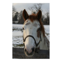 Paint Poster posters by EquineGal Paint Poster posters