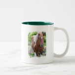 Paint Quarterhorse Coffee Mug