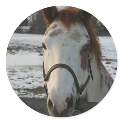 Paint Sticker by EquineGal