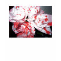 Paint the Roses Red t-shirts