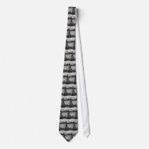 Paint Tie by EquineGal Paint Tie