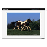 Paint Yearlings Running Skins For 15" Laptops