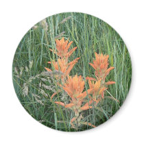 Paintbrush magnets