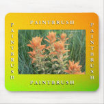 Paintbrush Mouse Pads