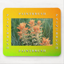 Paintbrush mousepads
