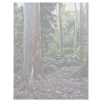 Painted bark eucalyptus, Maui, Hawaii Custom Letterhead