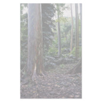 Painted bark eucalyptus, Maui, Hawaii Custom Stationery