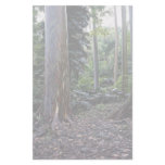 Painted bark eucalyptus, Maui, Hawaii Custom Stationery
