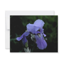 Painted Blue Iris invitations by morgansattic Painted Blue Iris invitations