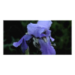 Painted Blue Iris Custom Photo Card