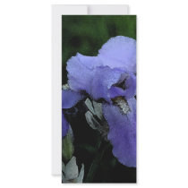 Painted Blue Iris rack cards