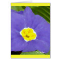 "Painted Blue Primrose" cards