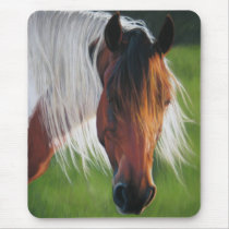 Painted Breeze - Mousepad