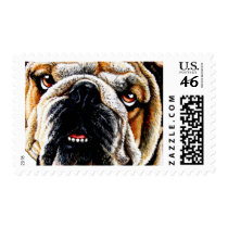 Painted Bulldog Face Stamp