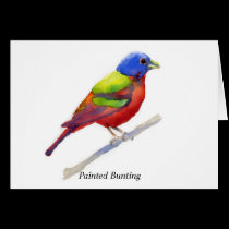 Painted Bunting cards