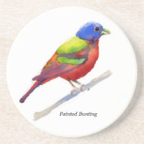Painted Bunting coaster coasters
