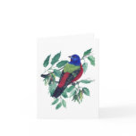 Painted Bunting Greeting Card
