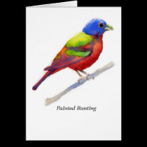 Painted Bunting cards