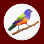 Painted Bunting Magnet magnets