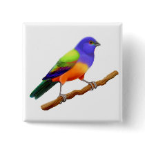 Painted Bunting PIn